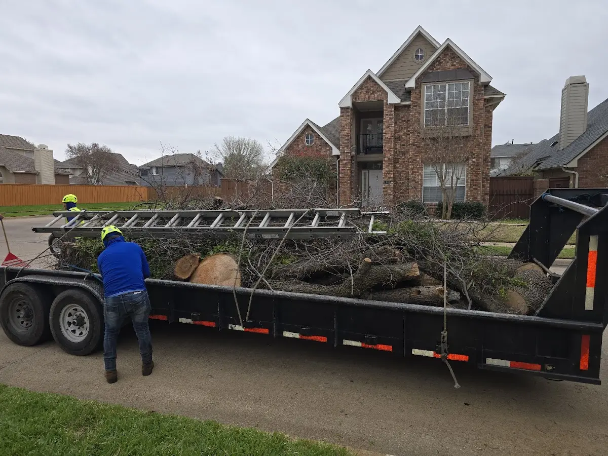 Expert Tree Fertilization with proper safety equipment in Dorset